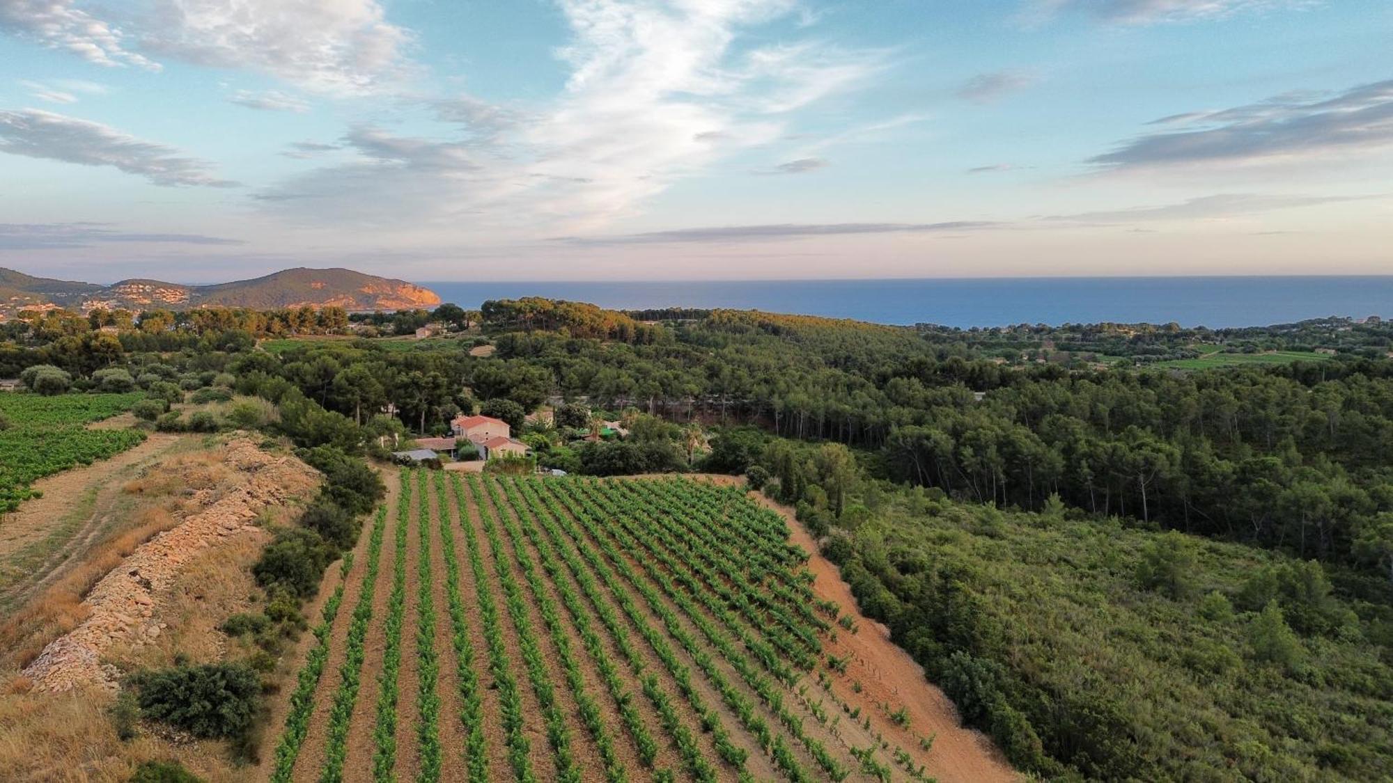 Gite Vue Mer La Cadiere-d'Azur Exteriér fotografie