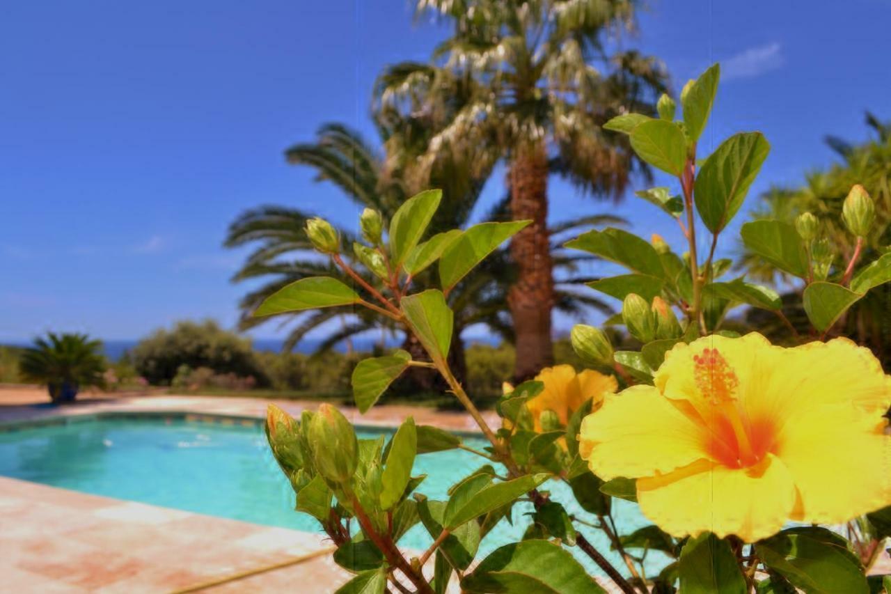 Gite Vue Mer La Cadiere-d'Azur Exteriér fotografie